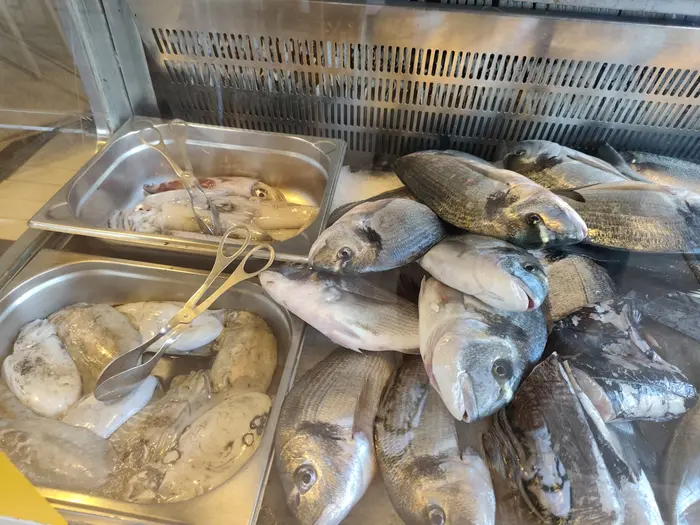 Balcão de peixe fresco com douradas, robalos e choco